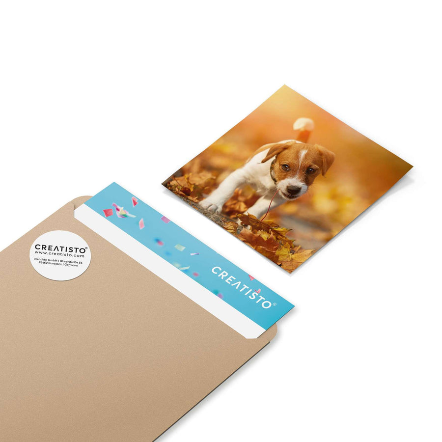 Klebefliesen Jack the Puppy - Paket - creatisto pds2