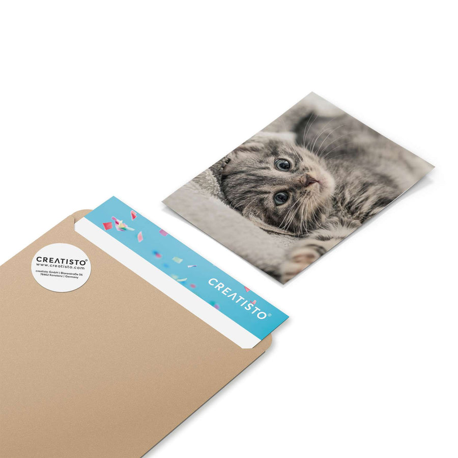 Klebefliesen Kitty the Cat - Paket - creatisto pds2