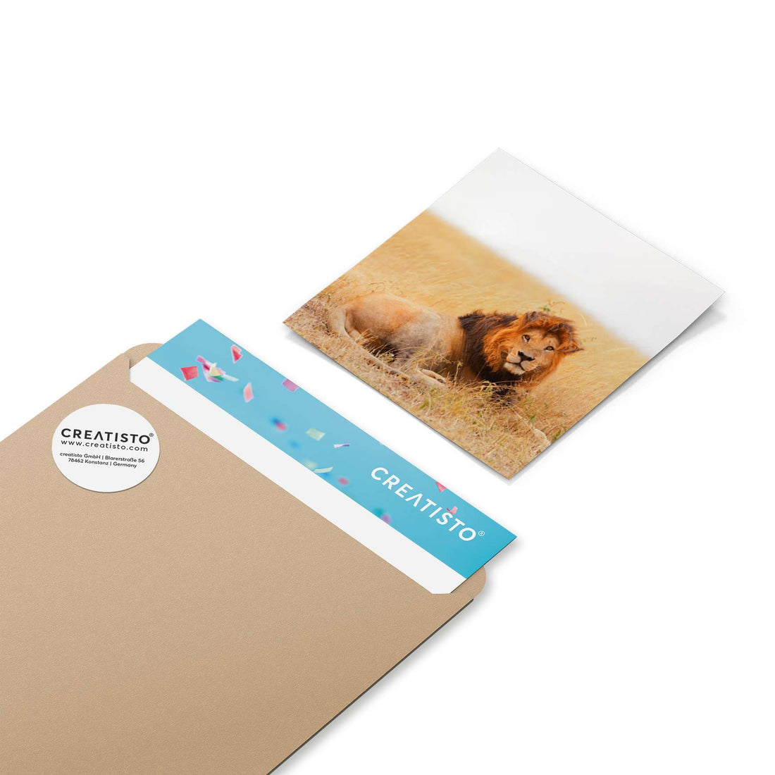 Klebefliesen Lion King - Paket - creatisto pds2