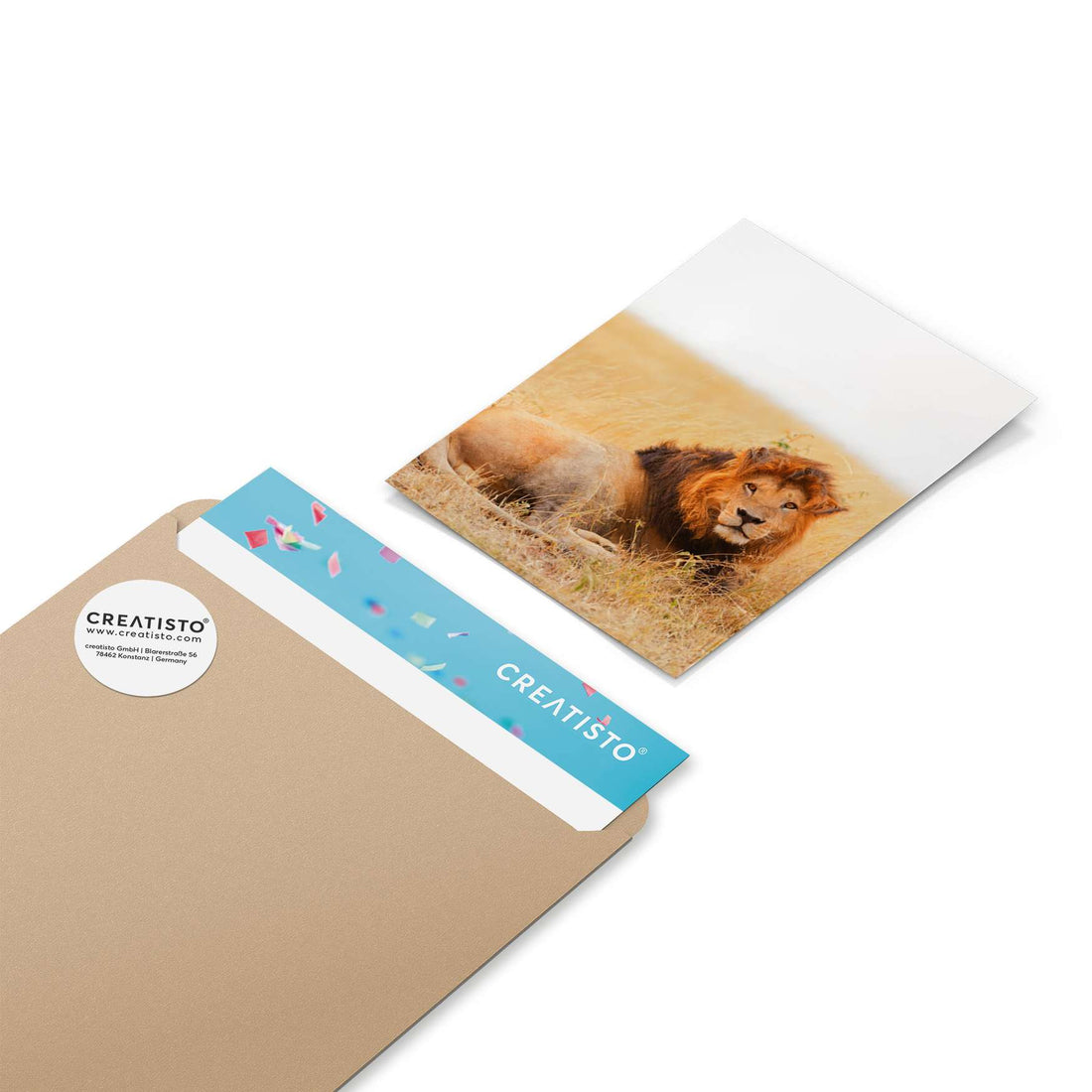 Klebefliesen Lion King - Paket - creatisto pds2