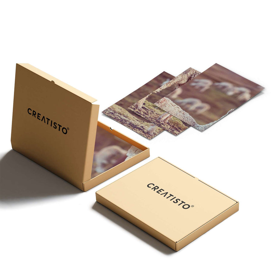 Klebefliesen Pako - Paket - creatisto pds2