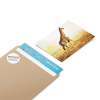 Klebefliesen Savanna Giraffe - Paket - creatisto pds2