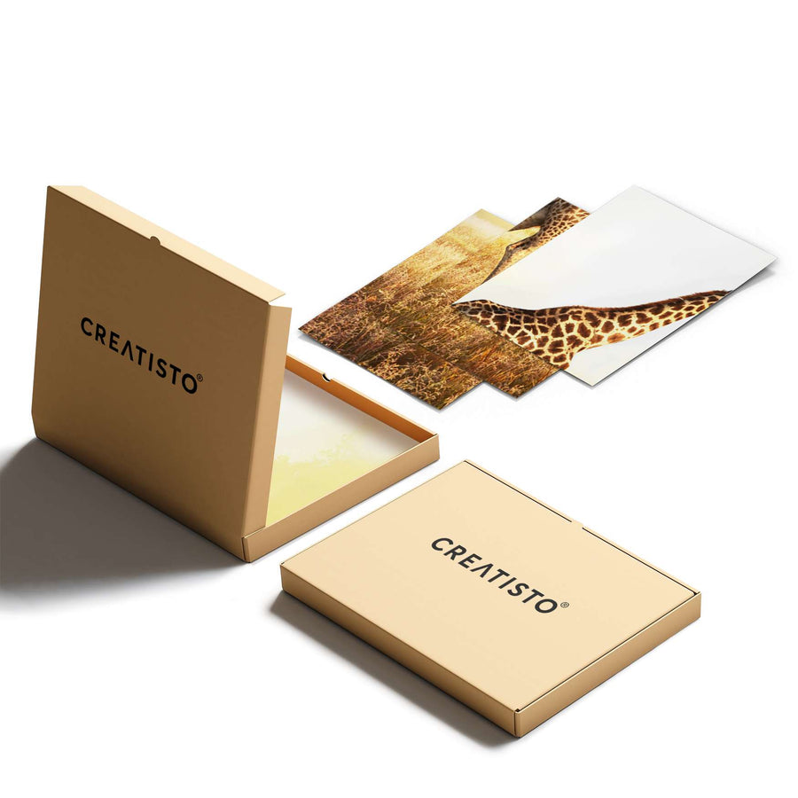 Klebefliesen Savanna Giraffe - Paket - creatisto pds2