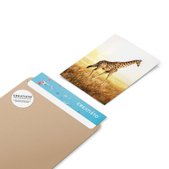 Klebefliesen Savanna Giraffe - Paket - creatisto pds2