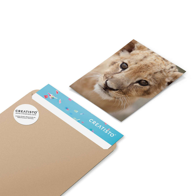 Klebefliesen Simba - Paket - creatisto pds2