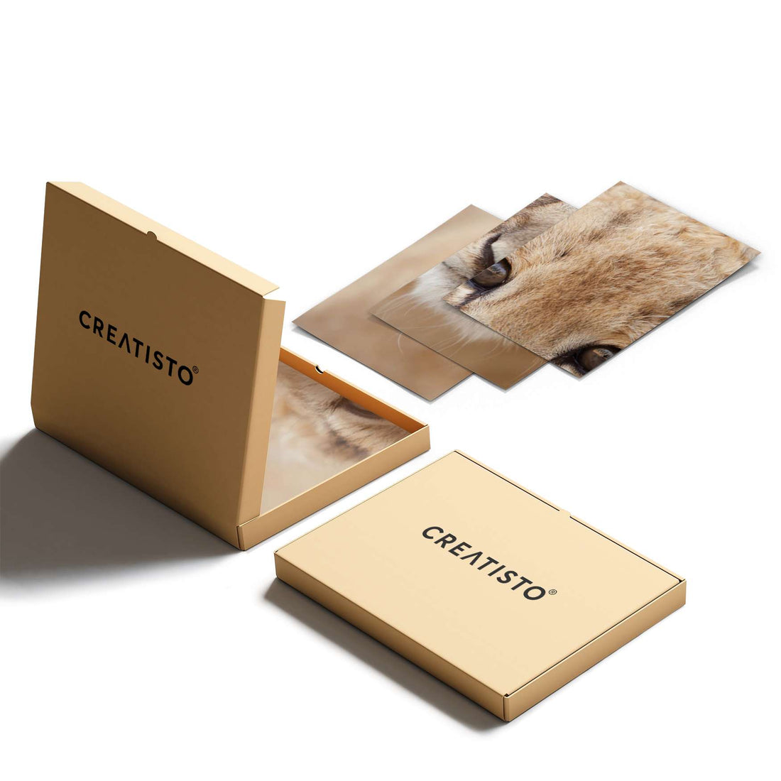 Klebefliesen Simba - Paket - creatisto pds2
