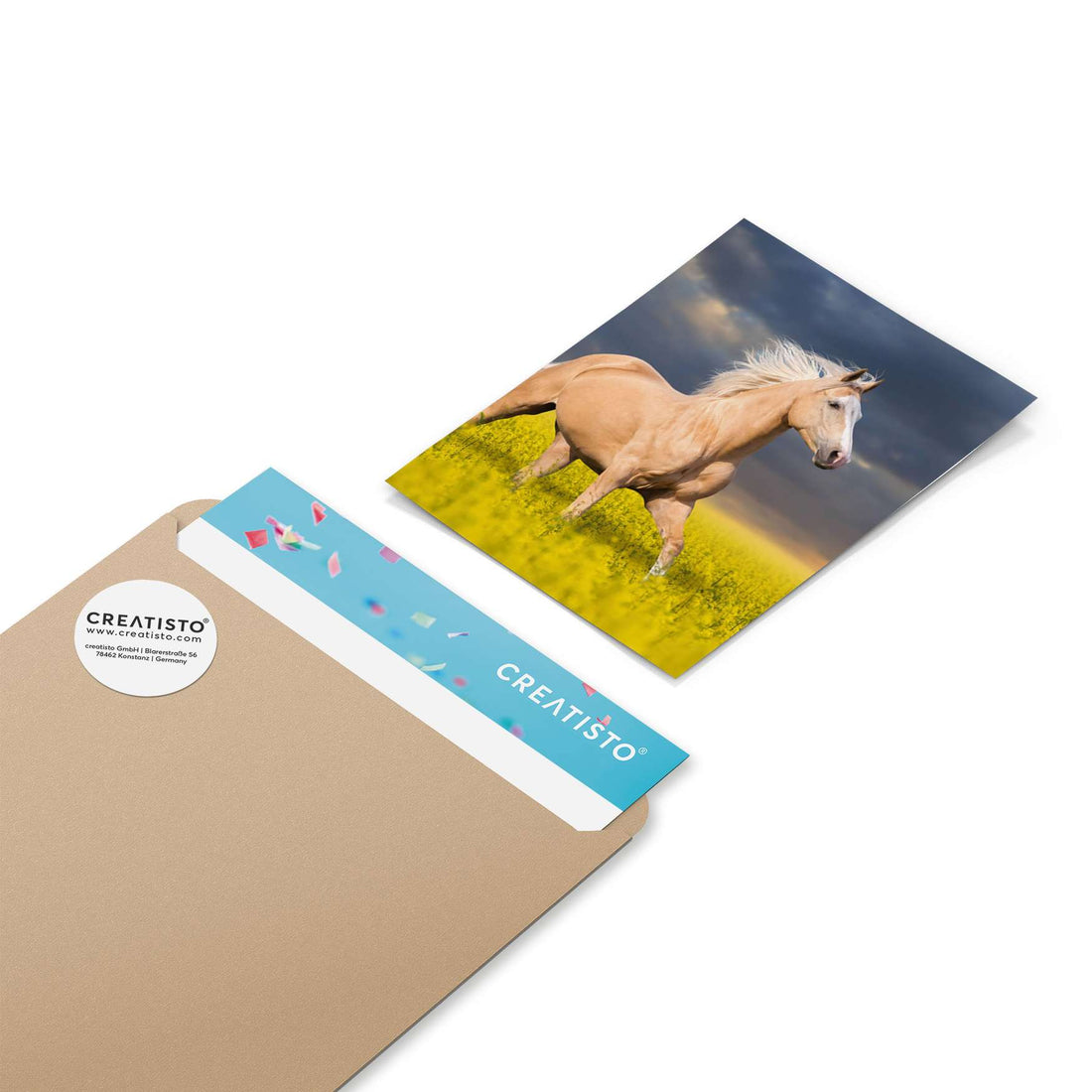 Klebefliesen Wildpferd - Paket - creatisto pds2