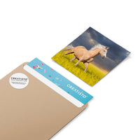 Klebefliesen Wildpferd - Paket - creatisto pds2