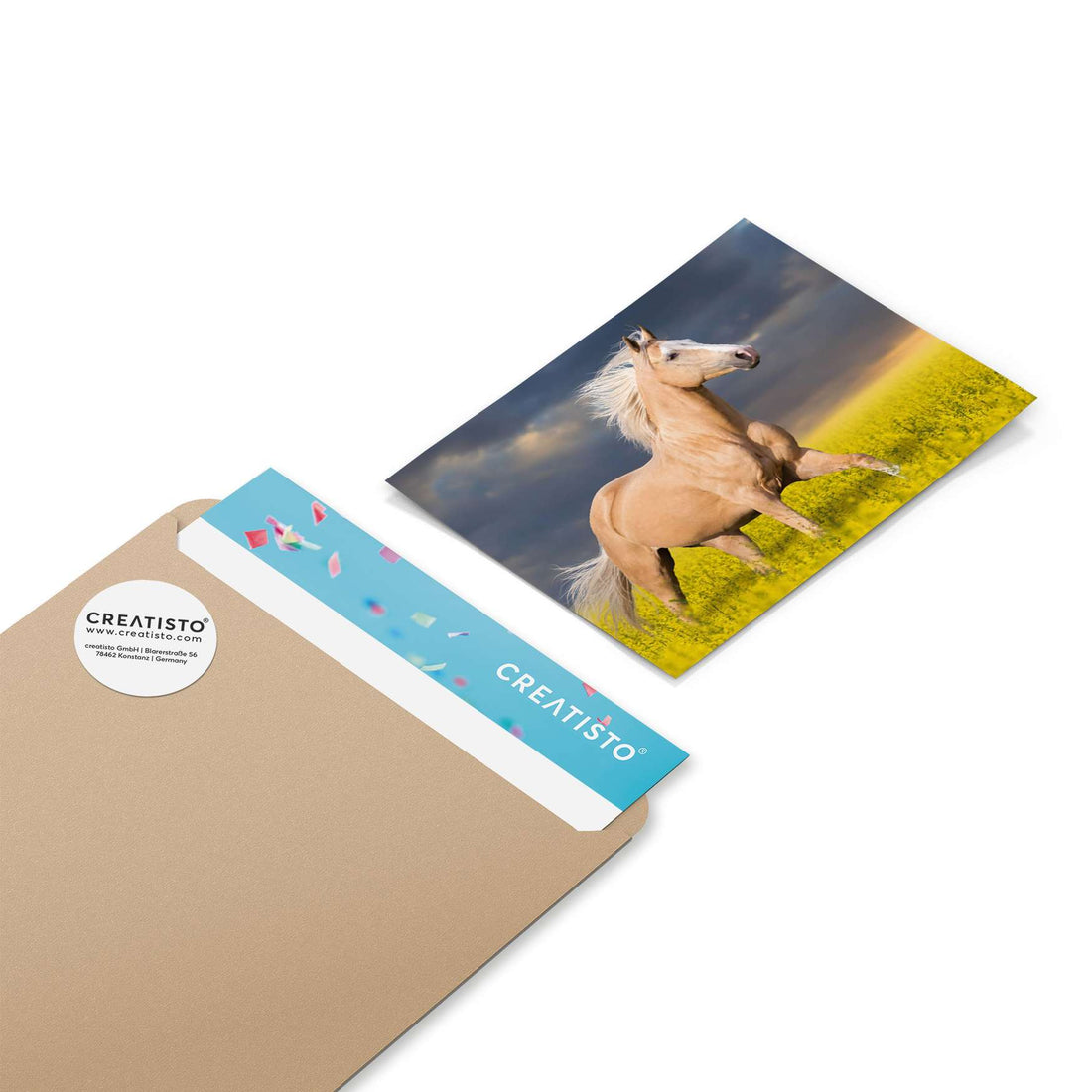 Klebefliesen Wildpferd - Paket - creatisto pds2