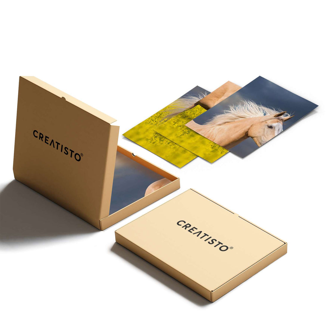 Klebefliesen Wildpferd - Paket - creatisto pds2