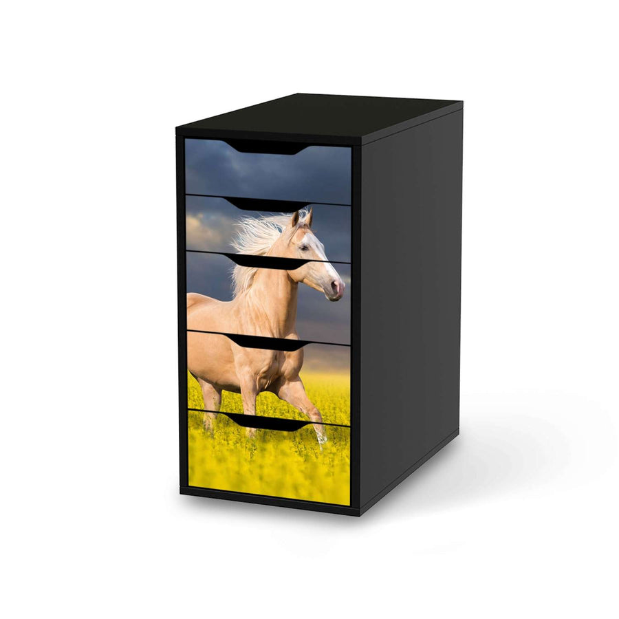Klebefolie für Möbel Wildpferd - IKEA Alex 5 Schubladen - schwarz