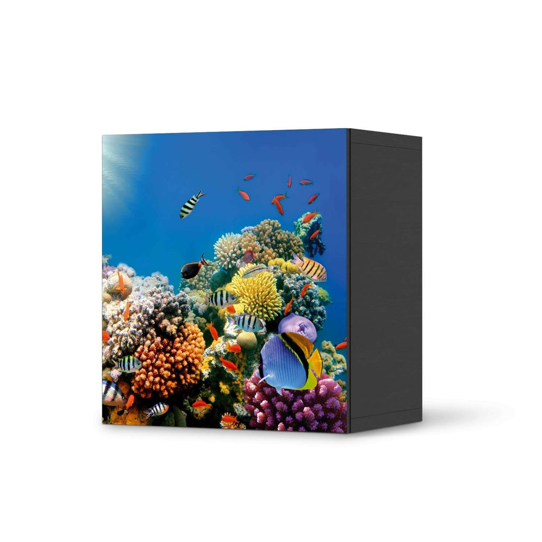 Klebefolie für Möbel Coral Reef - IKEA Besta Regal 1 Türe - schwarz