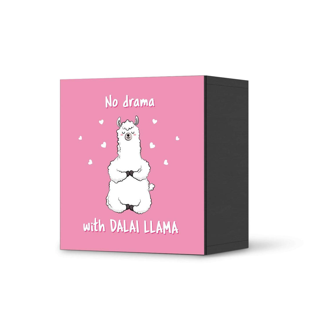 Klebefolie für Möbel Dalai Llama - IKEA Besta Regal 1 Türe - schwarz