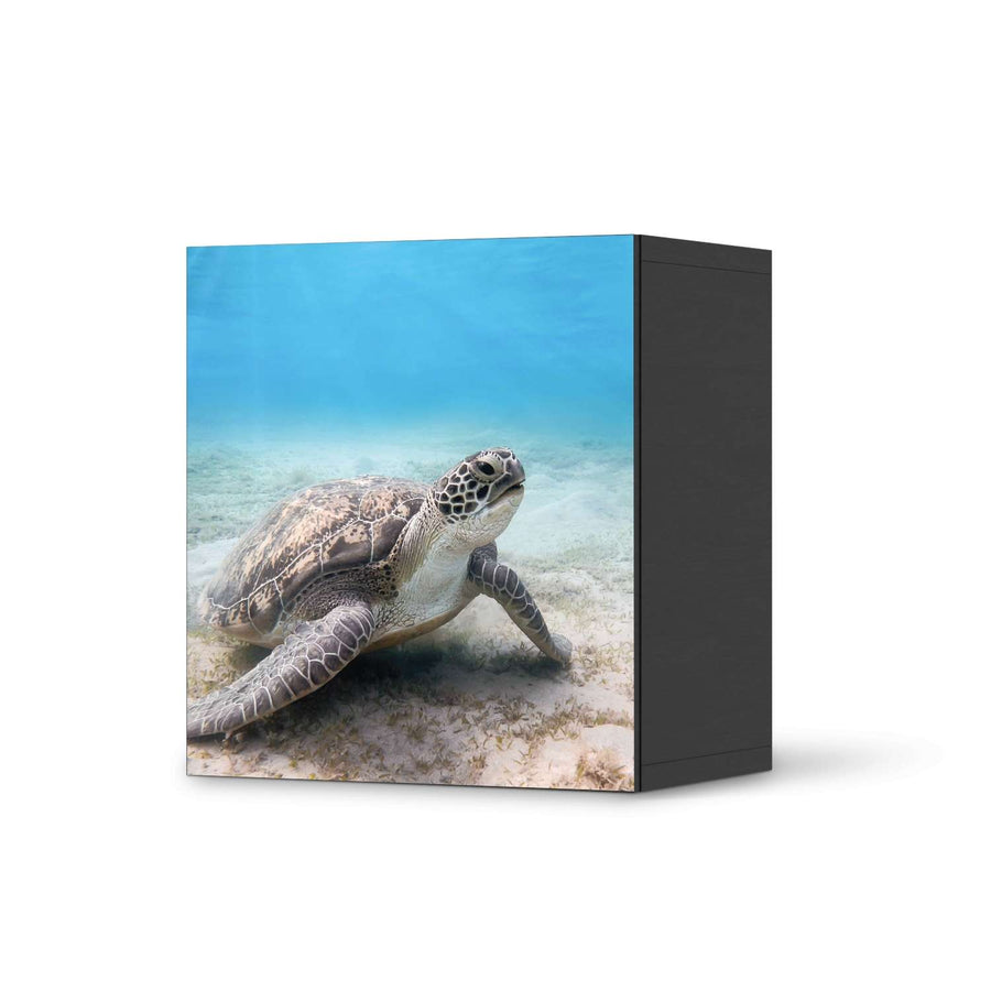 Klebefolie für Möbel Green Sea Turtle - IKEA Besta Regal 1 Türe - schwarz