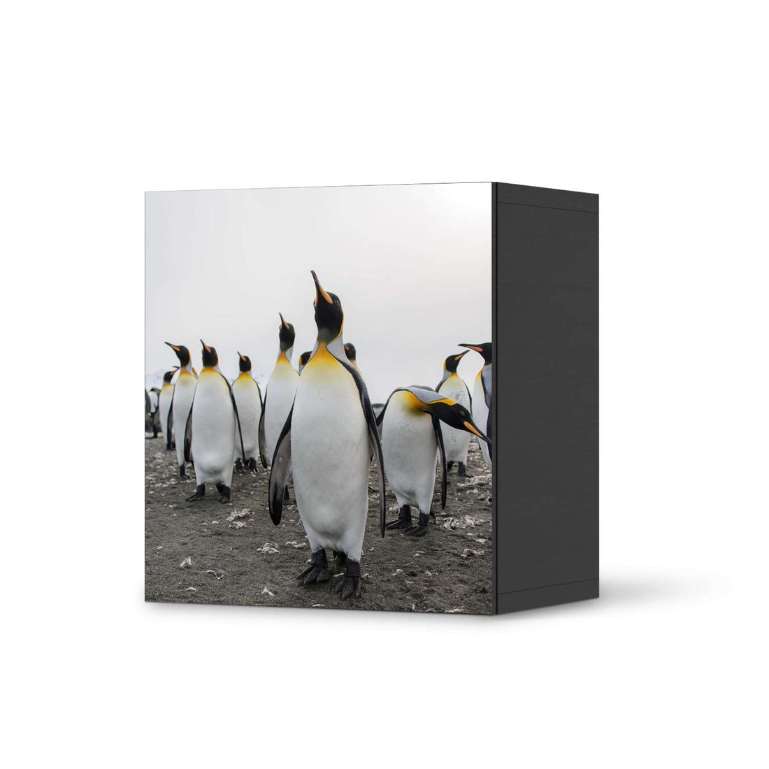Klebefolie für Möbel Penguin Family - IKEA Besta Regal 1 Türe - schwarz
