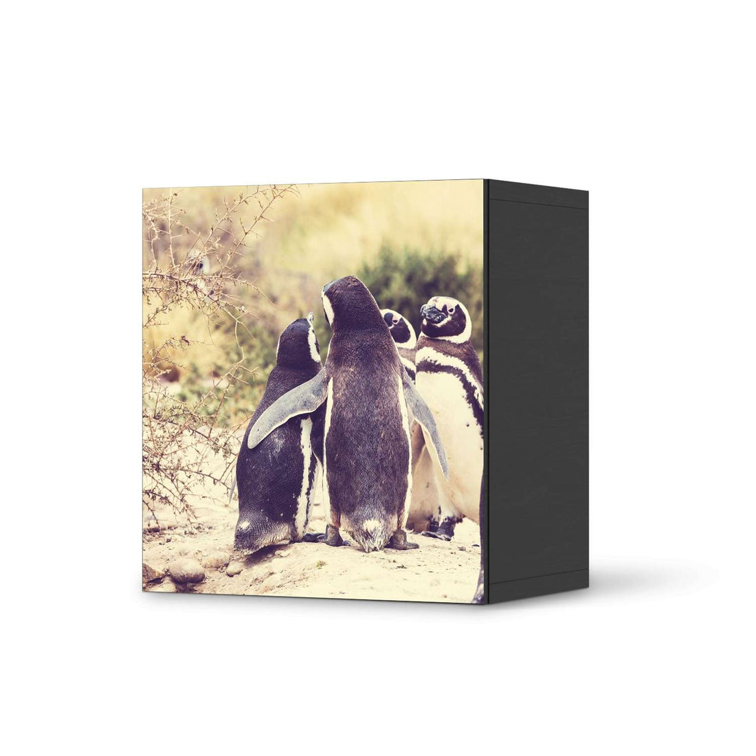 Klebefolie für Möbel Pingu Friendship - IKEA Besta Regal 1 Türe - schwarz