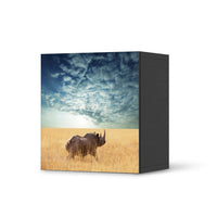 Klebefolie für Möbel Rhino - IKEA Besta Regal 1 Türe - schwarz