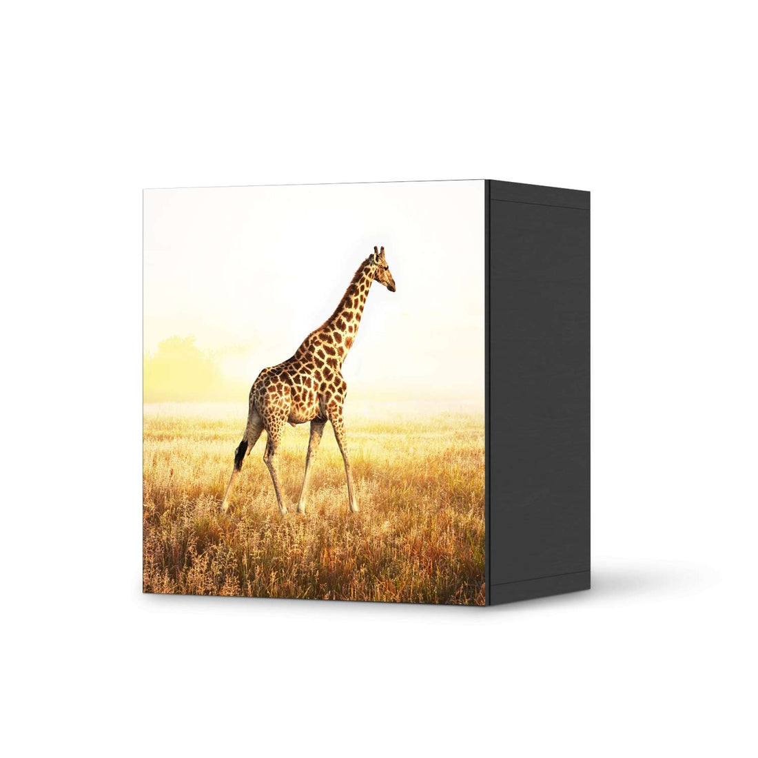 Klebefolie für Möbel Savanna Giraffe - IKEA Besta Regal 1 Türe - schwarz