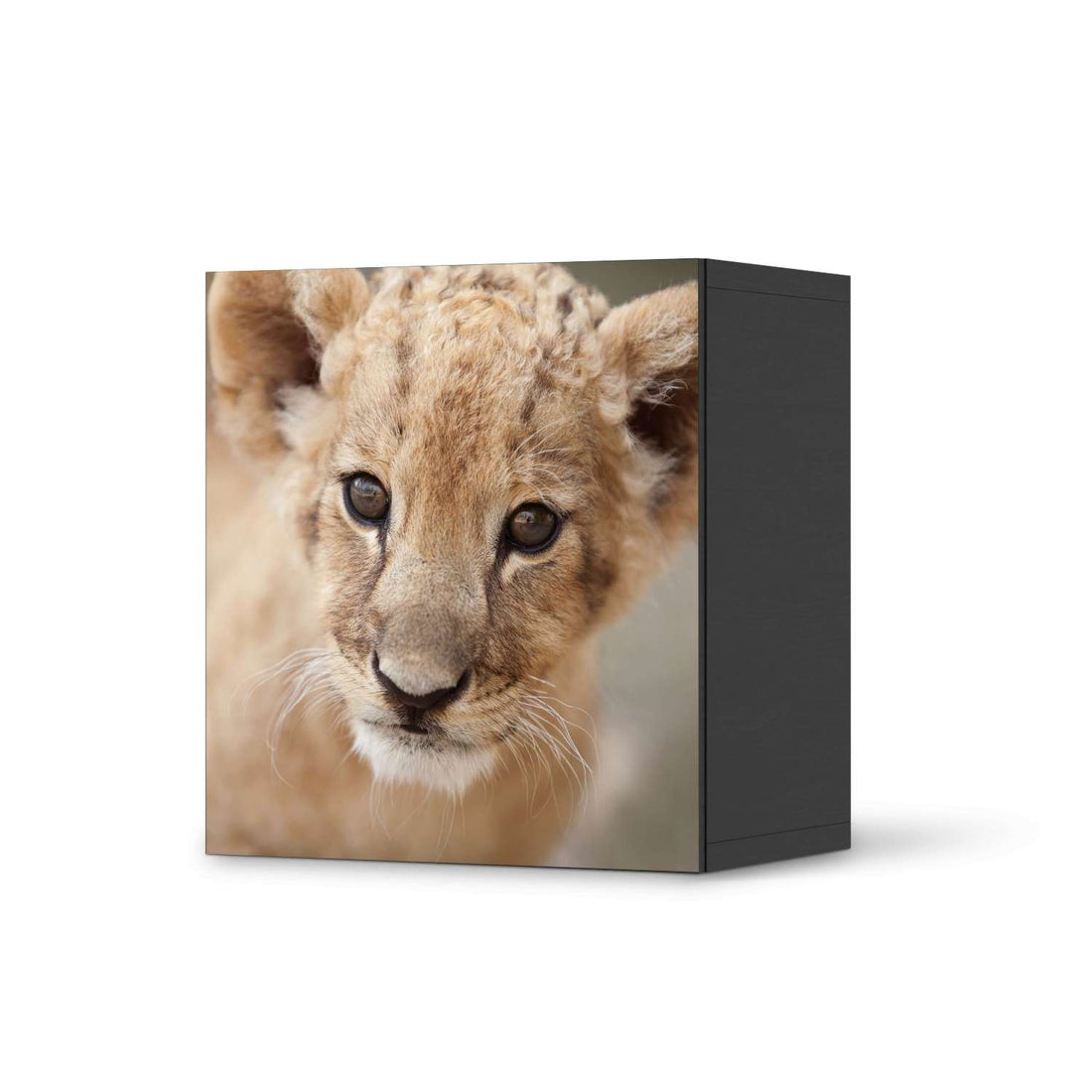 Klebefolie für Möbel Simba - IKEA Besta Regal 1 Türe - schwarz