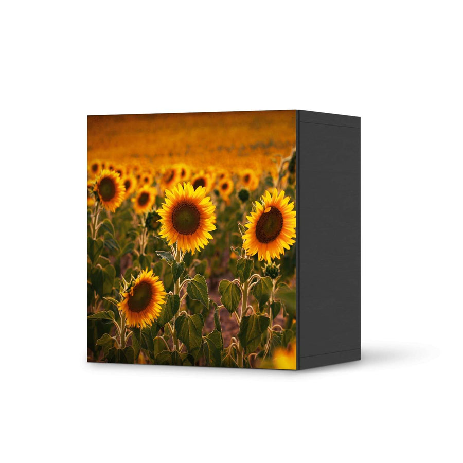 Klebefolie für Möbel Sunflowers - IKEA Besta Regal 1 Türe - schwarz