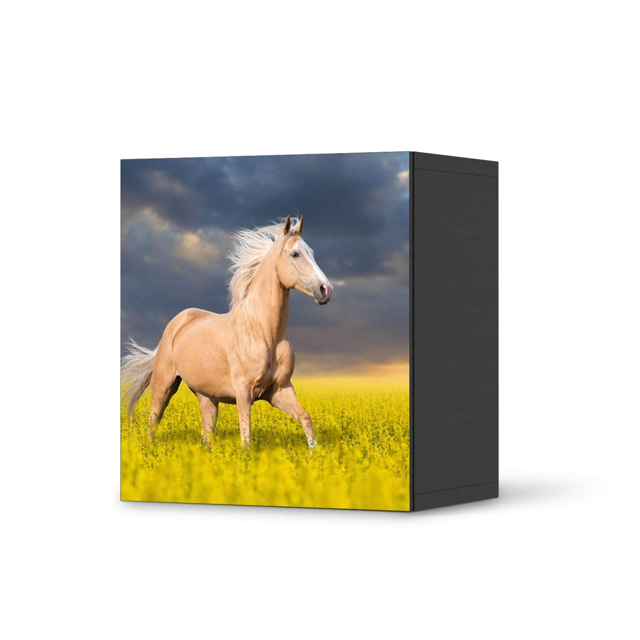 Klebefolie für Möbel Wildpferd - IKEA Besta Regal 1 Türe - schwarz