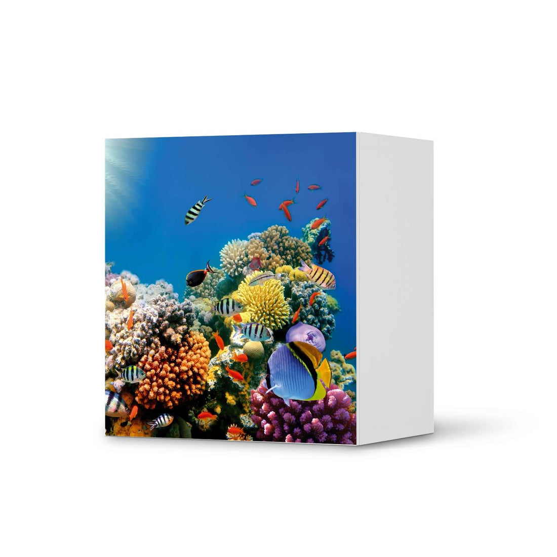 Klebefolie für Möbel Coral Reef - IKEA Besta Regal 1 Türe  - weiss
