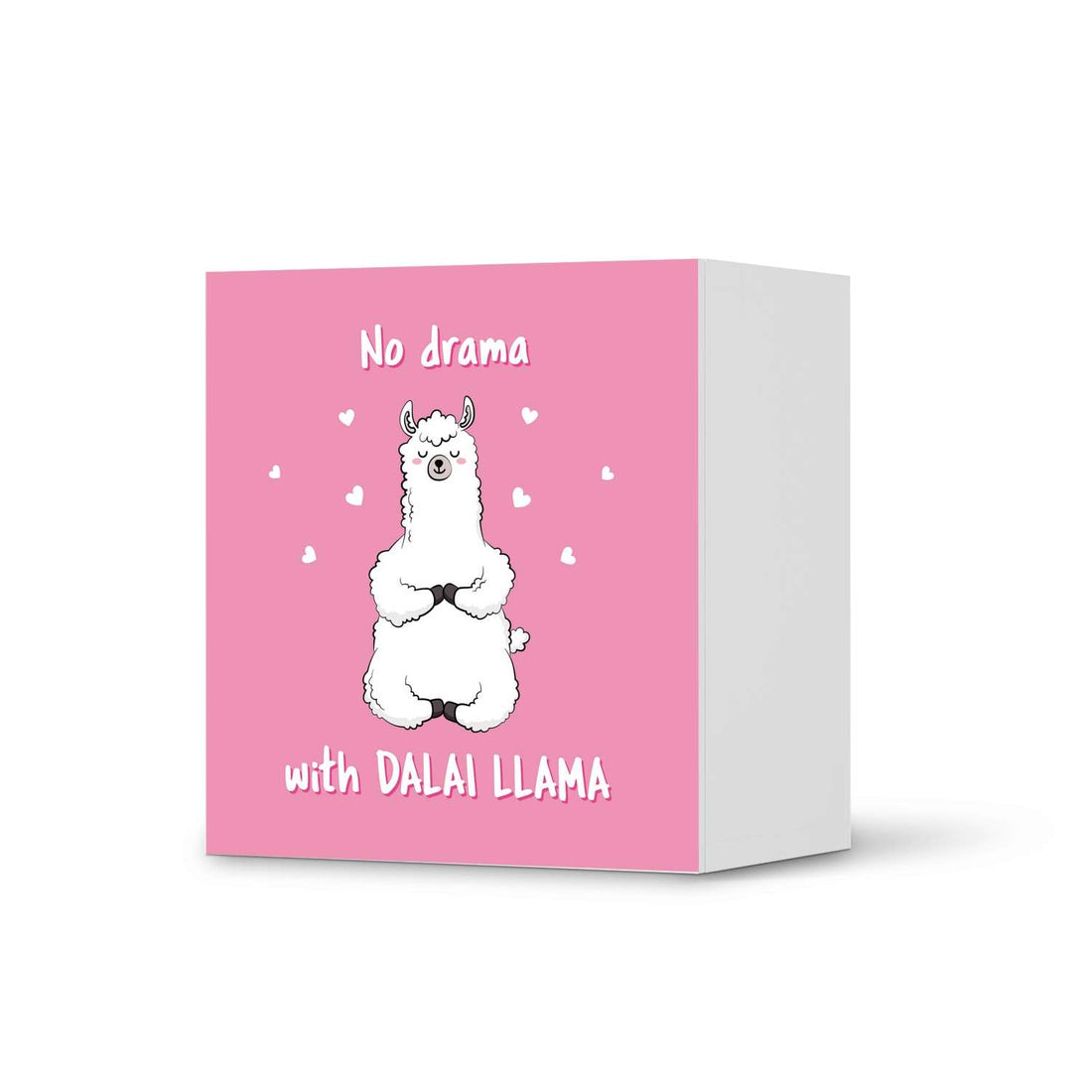 Klebefolie für Möbel Dalai Llama - IKEA Besta Regal 1 Türe  - weiss
