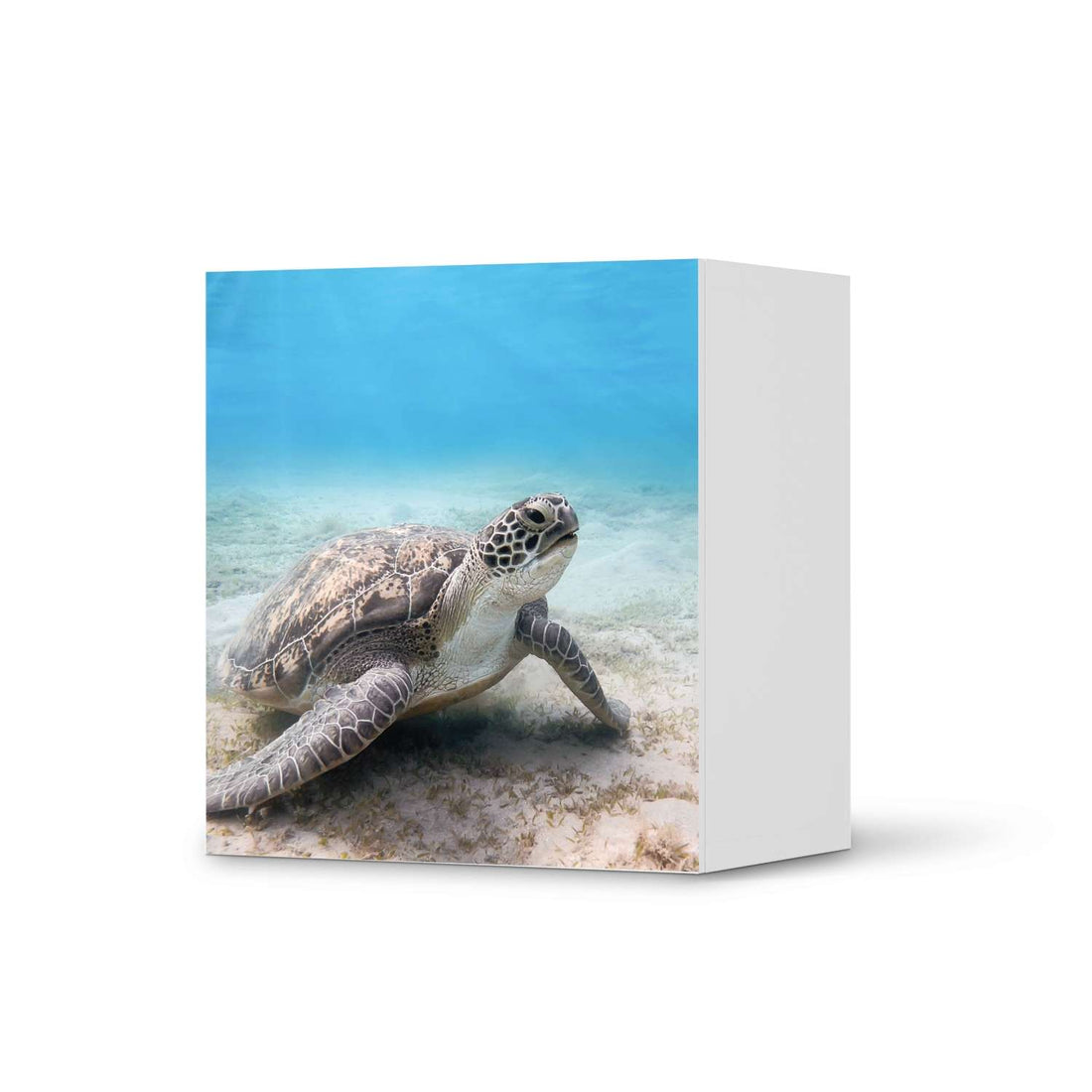 Klebefolie für Möbel Green Sea Turtle - IKEA Besta Regal 1 Türe  - weiss