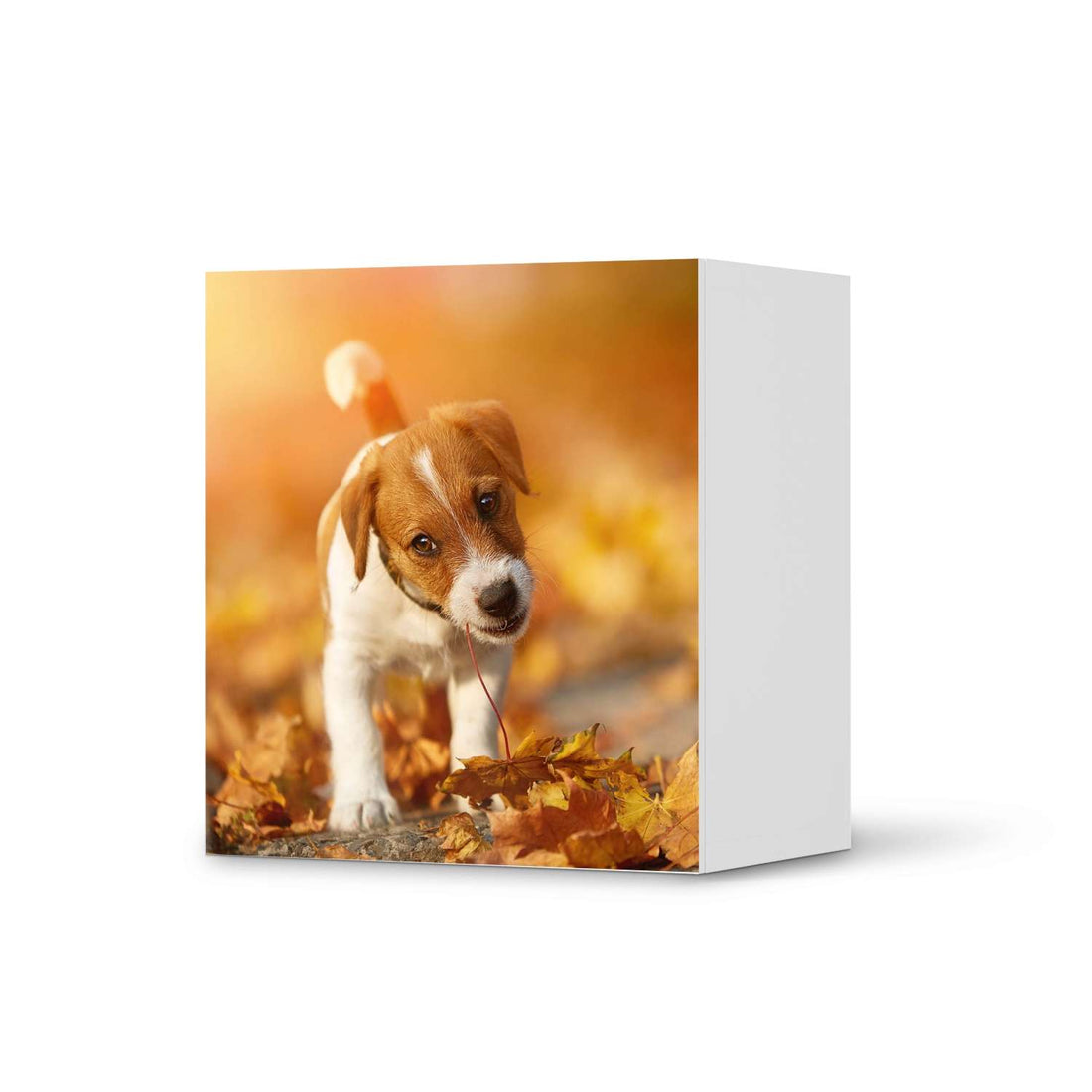 Klebefolie für Möbel Jack the Puppy - IKEA Besta Regal 1 Türe  - weiss