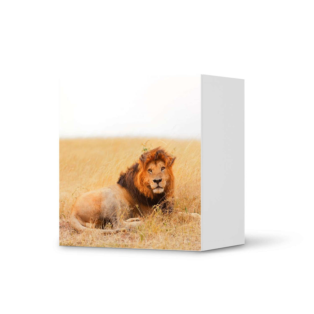 Klebefolie für Möbel Lion King - IKEA Besta Regal 1 Türe  - weiss