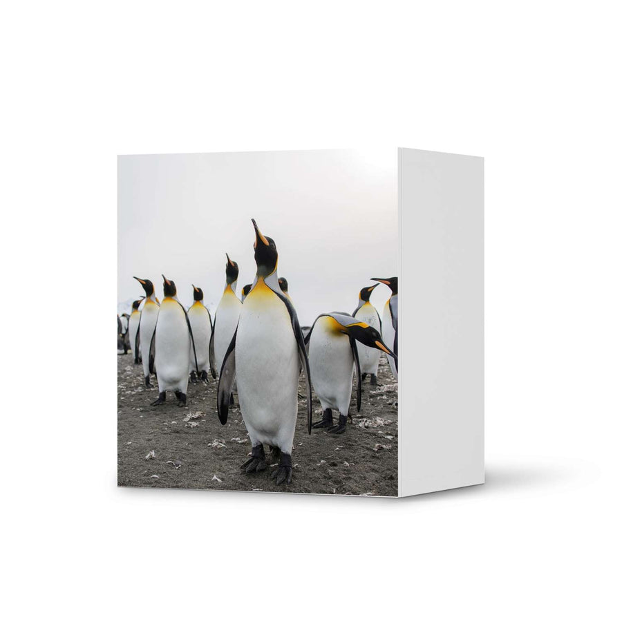 Klebefolie für Möbel Penguin Family - IKEA Besta Regal 1 Türe  - weiss