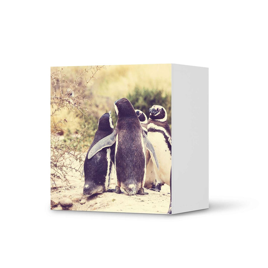 Klebefolie für Möbel Pingu Friendship - IKEA Besta Regal 1 Türe  - weiss