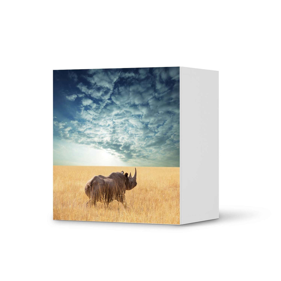 Klebefolie für Möbel Rhino - IKEA Besta Regal 1 Türe  - weiss