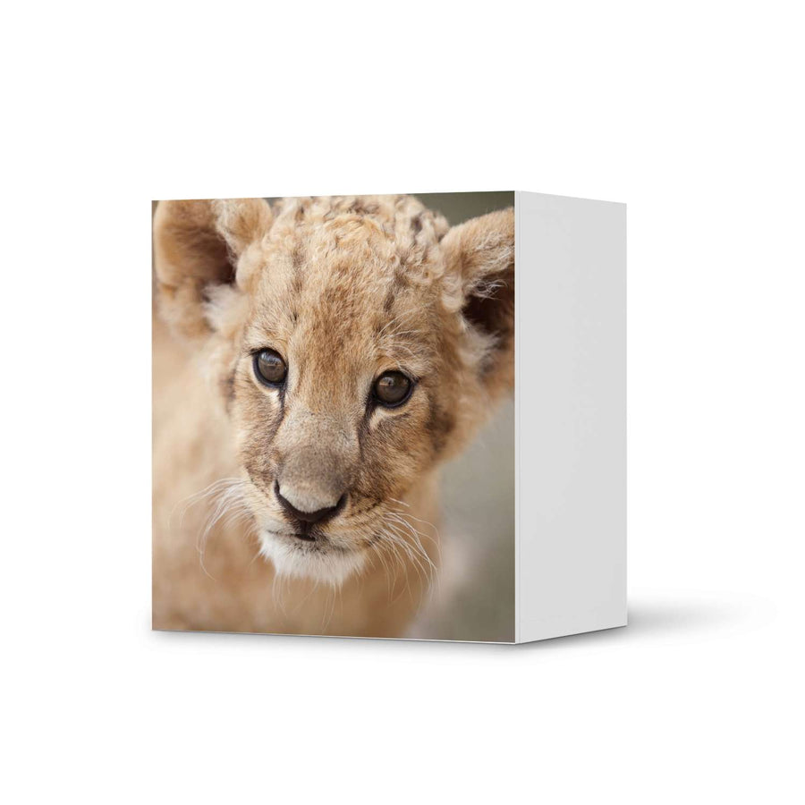 Klebefolie für Möbel Simba - IKEA Besta Regal 1 Türe  - weiss