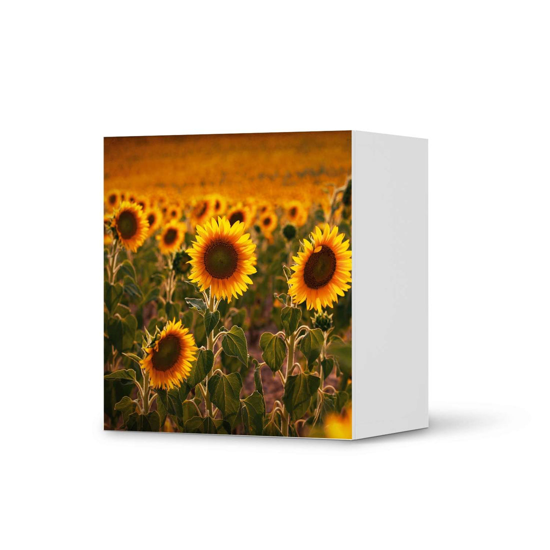 Klebefolie für Möbel Sunflowers - IKEA Besta Regal 1 Türe  - weiss