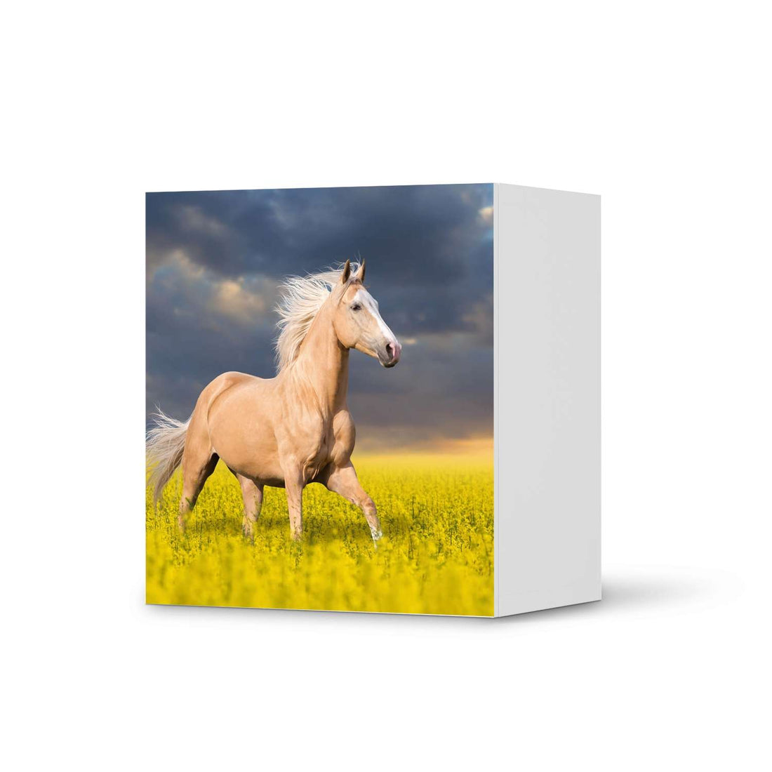 Klebefolie für Möbel Wildpferd - IKEA Besta Regal 1 Türe  - weiss