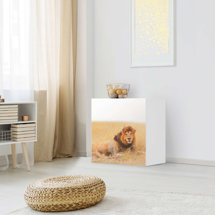Klebefolie für Möbel Lion King - IKEA Besta Regal 1 Türe - Wohnzimmer