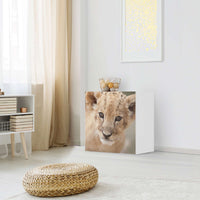 Klebefolie für Möbel Simba - IKEA Besta Regal 1 Türe - Wohnzimmer