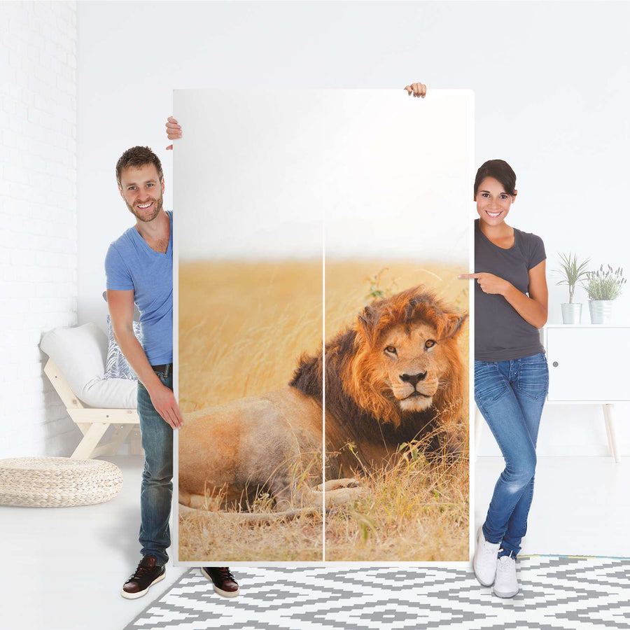Klebefolie für Möbel Lion King - IKEA Besta Schrank Hoch 2 Türen - Folie