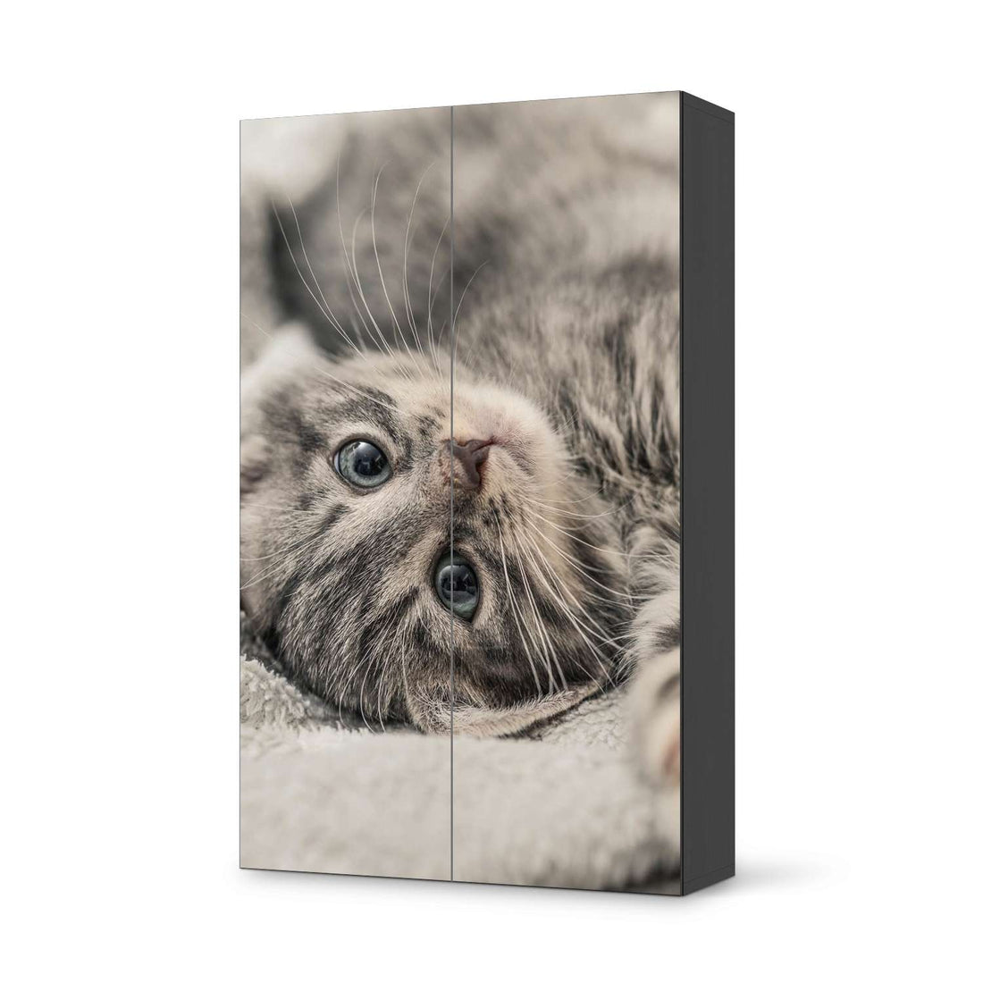 Klebefolie für Möbel Kitty the Cat - IKEA Besta Schrank Hoch 2 Türen - schwarz