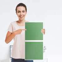 Klebefolie für Möbel Grün Light - IKEA Expedit Regal 2 Türen Hoch - Folie