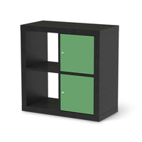 Klebefolie für Möbel Grün Light - IKEA Expedit Regal 2 Türen Hoch - schwarz