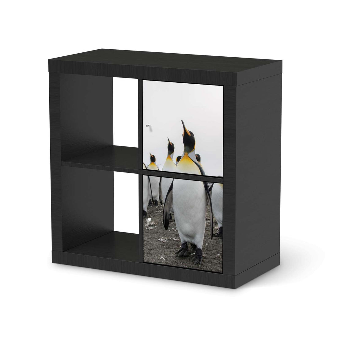 Klebefolie für Möbel Penguin Family - IKEA Expedit Regal 2 Türen Hoch - schwarz