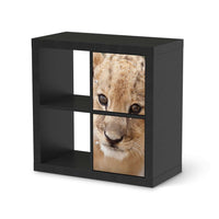 Klebefolie für Möbel Simba - IKEA Expedit Regal 2 Türen Hoch - schwarz