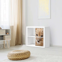 Klebefolie für Möbel Simba - IKEA Expedit Regal 2 Türen Hoch - Wohnzimmer