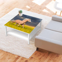 Klebefolie für Möbel Wildpferd - IKEA Hemnes Couchtisch 90x90 cm - Wohnzimmer