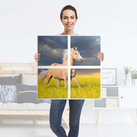 Klebefolie für Möbel Wildpferd - IKEA Kallax Regal 4 Türen - Folie