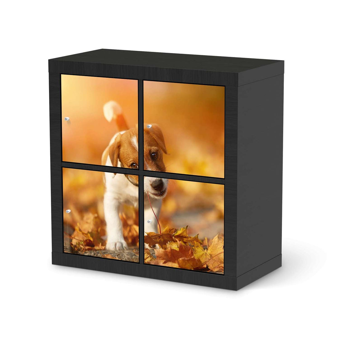 Klebefolie für Möbel Jack the Puppy - IKEA Kallax Regal 4 Türen - schwarz
