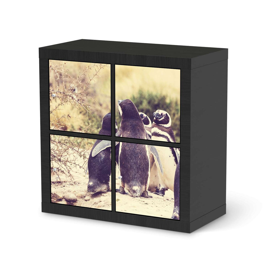 Klebefolie für Möbel Pingu Friendship - IKEA Kallax Regal 4 Türen - schwarz