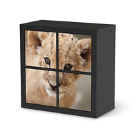 Klebefolie für Möbel Simba - IKEA Kallax Regal 4 Türen - schwarz
